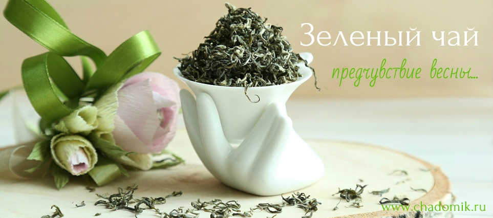 зеленый чай улун для похудения отзывы зеленый чай улун для похудения отзывы